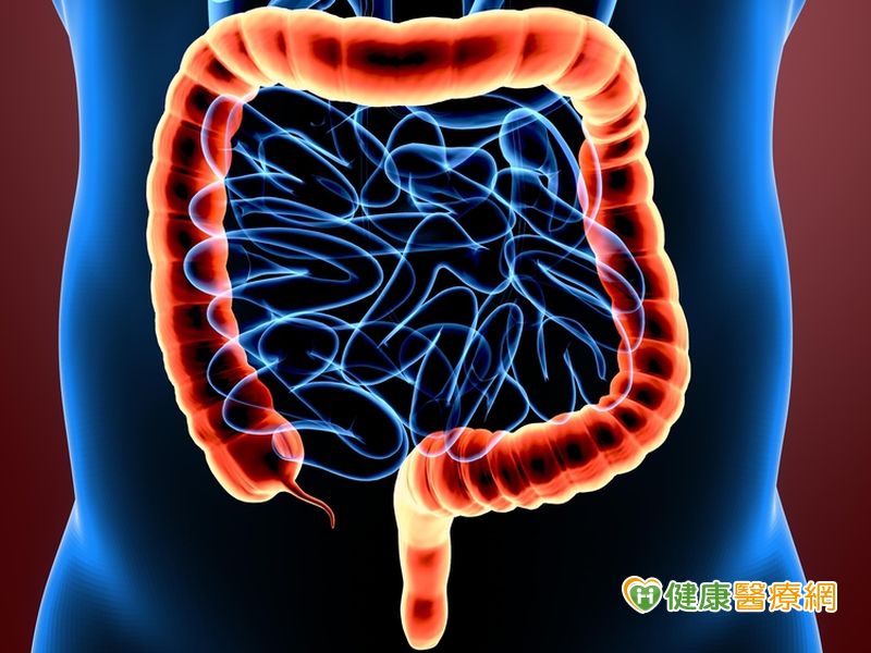 Que tomar para regular el transito intestinal Que tomar para regular el transito intestinal
