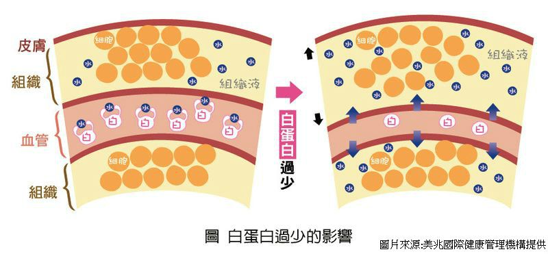 健康趨勢圖