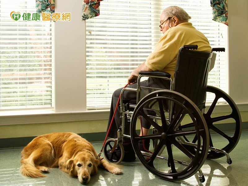 80歲老翁雙腳腫痛　原是「輪椅症候群」惹禍