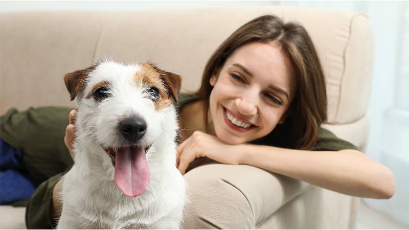 飼養寵物可以為主人帶來許多身心的益處，包括減少孤獨感、降低壓力、增加活動量等，現在最新科學研究證明長期養寵物又多了一樣對主人大腦的益處，甚至有助於減緩老年人的認知能力下降。圖片取自:（示意圖123rf）