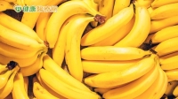 香蕉怎麼挑才營養？如何保存不發黑？7大QA一次看