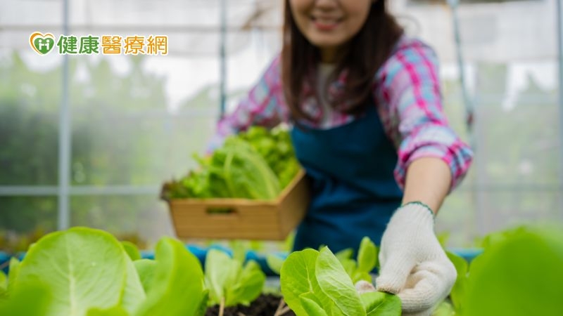 6旬婦積極治療、平時愛種菜　竟能與「癌王」共存3年