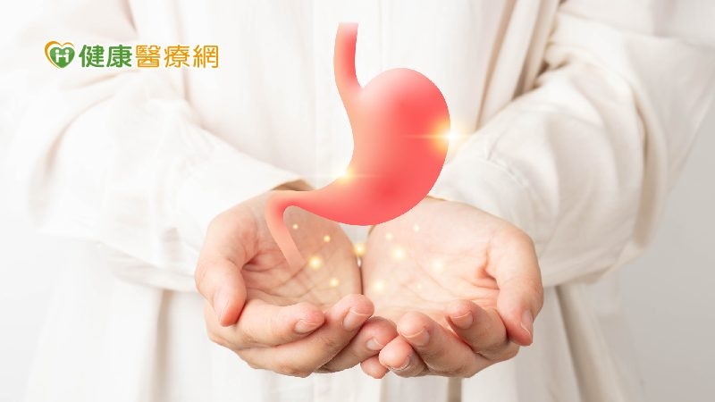 想知道該如何維持胃部健康，必須先從胃部結構、平衡機制開始了解。