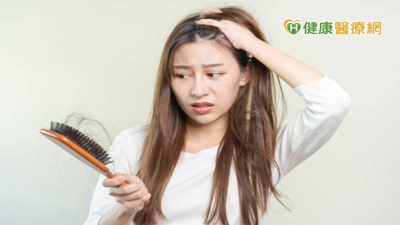 突然狂掉髮小心是圓禿前兆！　皮膚科醫師揭常見病徵