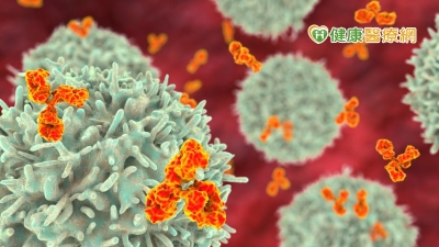 瀰漫性大B細胞淋巴癌治療新曙光　雙標靶組合藥物核准可用於起始治療