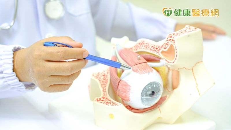 不容忽視的青光眼　配合治療有助於維持視力