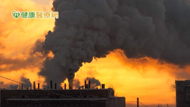 地球暖化影響呼吸道、心血管健康　營養師提6方法從「食」愛護地球