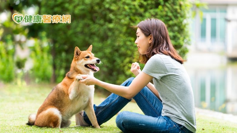 伴侶難找不婚不生情感寄託貓狗　毛小孩臨終送行更是重要課題 