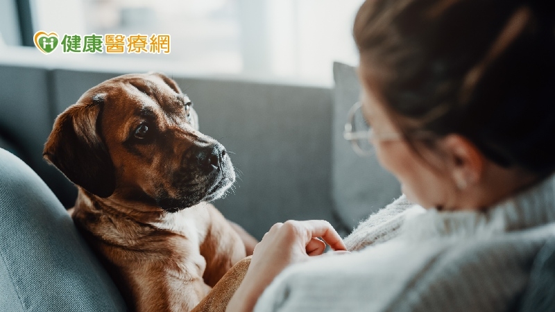 汪星人超前部屬　「用聞的」幫主人揪出乳癌！