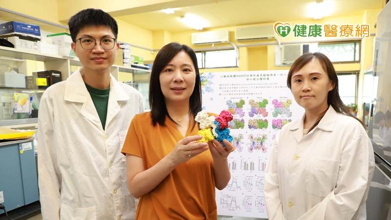 台灣研究團隊找到減緩癌細胞的「關鍵」　開發癌症新療法登國際期刊！