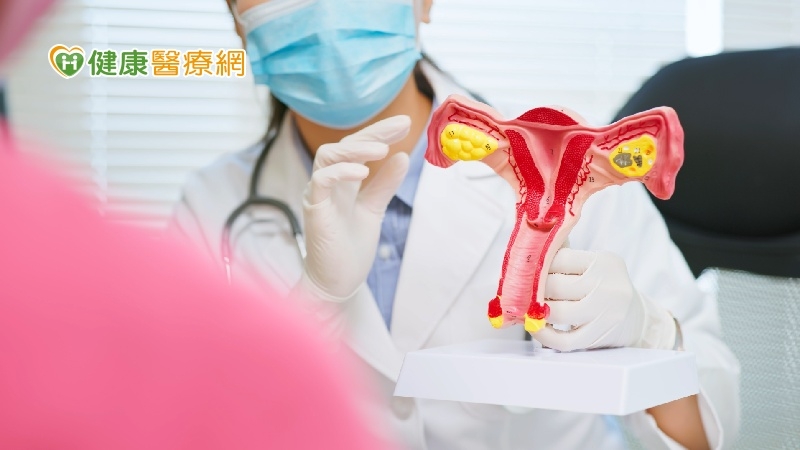 目標2030年消除子宮頸癌　立委與婦團籲HPV檢測納篩檢