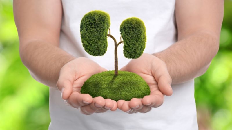 達文西手術助腎臟癌部份腎切除　保留腎功能有「這些」好處