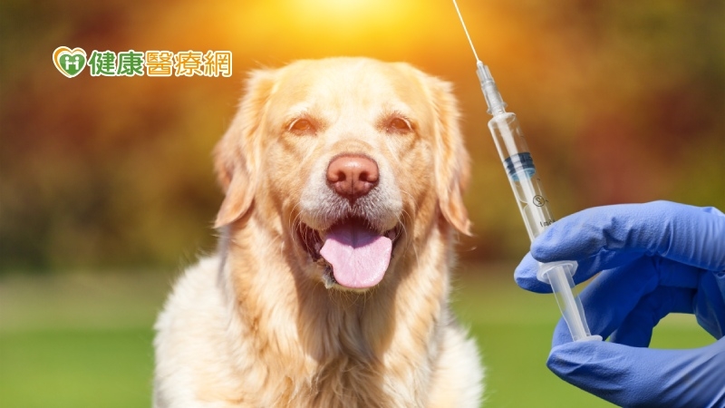 狂犬病死亡率近100％　愛犬接種疫苗成為「防疫汪汪隊」