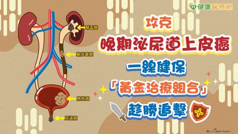 攻克晚期泌尿道上皮癌　一線健保「黃金治療組合」趁勝追擊