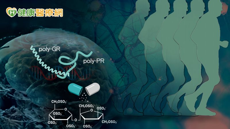 漸凍症治療重大發現！　中研院成功以「硫酸雙醣分子」減緩<span style='color:red'>神經元</span>退