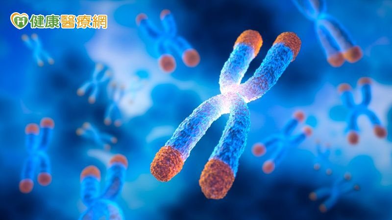 越短越衰老！專家：人類老化關鍵在「端粒」 教你4招減緩縮減速度