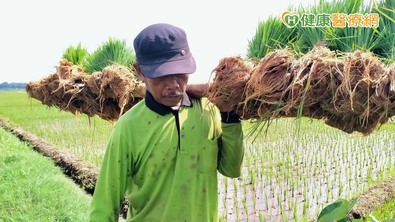 肩膀痛的原因多樣，除了肌腱斷裂，五十肩、鈣化性肌腱炎等也常見，但並非每種狀況都適合增生療法，建議經由專業醫師評估後給予適合的治療建議。