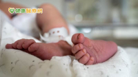 今年第2例腸病毒死亡又是「伊科病毒」！　未滿1個月大嬰發病近1週後逝