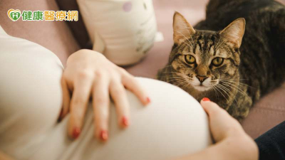 孕媽咪難題！寶寶與毛孩只能二選一？從免疫反應看為何「兩全其美」不是問題！