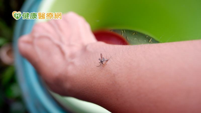 防範登革熱！台南新規定「查到孑孓直接開罰」　快清除孳生源護健康、荷包