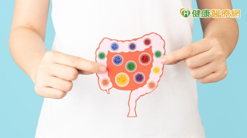 益生菌種類繁多，乳酸桿菌、雙歧桿菌最常見。