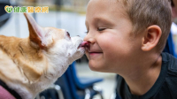 陪伴犬成親子橋樑　助發展遲緩幼童多元學習