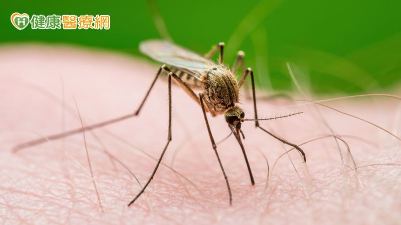 計畫前往瘧疾流行地區的民眾，應至少於出國前1個月至旅遊醫學門診諮詢，並依醫師指示在出國前、旅程中及返國後持續不中斷服用預防藥物，以確保保護效果。