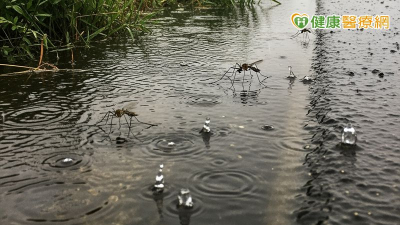 雨後清理家園防傳染病　疾管署籲：防疫三保「裝備、飲食、清潔」