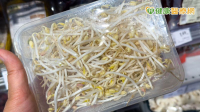 綠豆芽、黃豆芽差在哪？營養師來解析！含「這些營養素」快放入減脂菜單
