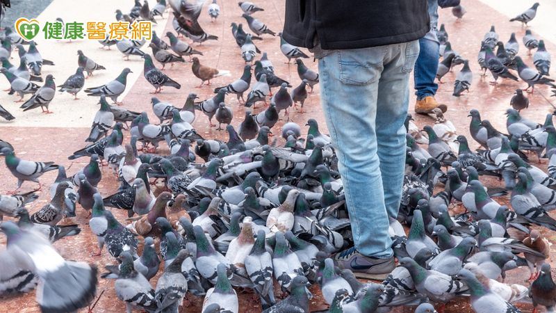 近年全球通報之新型 A 型流感人類個案，多與直接接觸禽鳥、家畜或受污染環境有關，尚無證據顯示其已具備持續人傳人的能力。