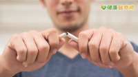 研究：戒菸者記憶力、語言能力退化減緩！戒10年失智風險與從未吸菸者相似