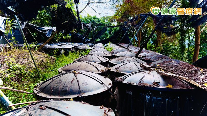 黃金安先生對公益與永續環境（ESG）的承諾也延伸到土地。