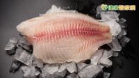 全聯鯛魚排「藥檢超標」已售逾4千包！恩氟喹啉羧酸是什麼？誤食怎麼辦？