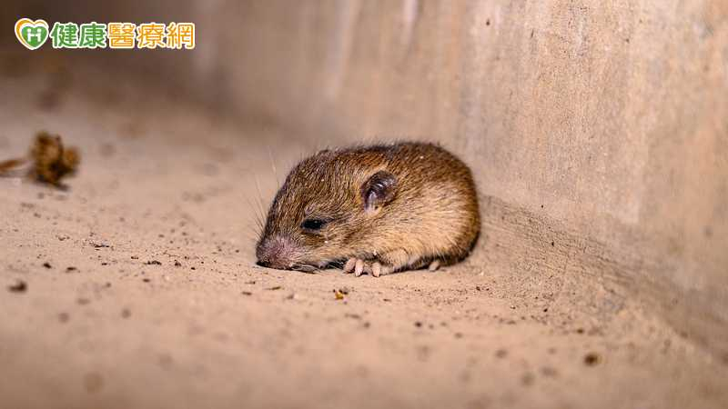 漢他病毒症候群屬於人畜共通傳染病，在自然界的傳播宿主為鼠類等齧齒類動物。