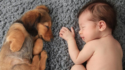 如何讓毛孩順利接納新生兒？