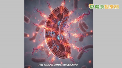 自由基不是壞人！專家揭真相：它其實在保護你