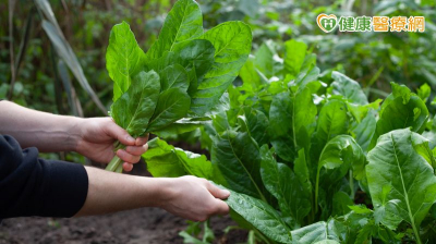美最髒蔬果新名單出爐　PFAS農藥殘留成焦點！醫：洗蔬果1原因用清水更好