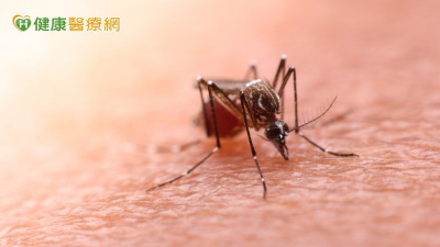 境外移入瘧疾增1例！20多歲男發燒嘔吐復發　赴這些國家要小心