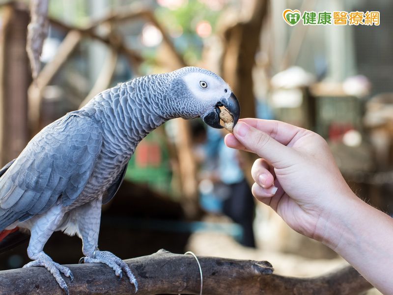 首圖
