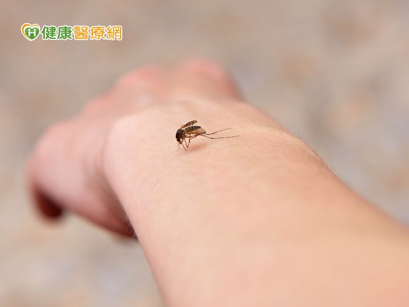首圖