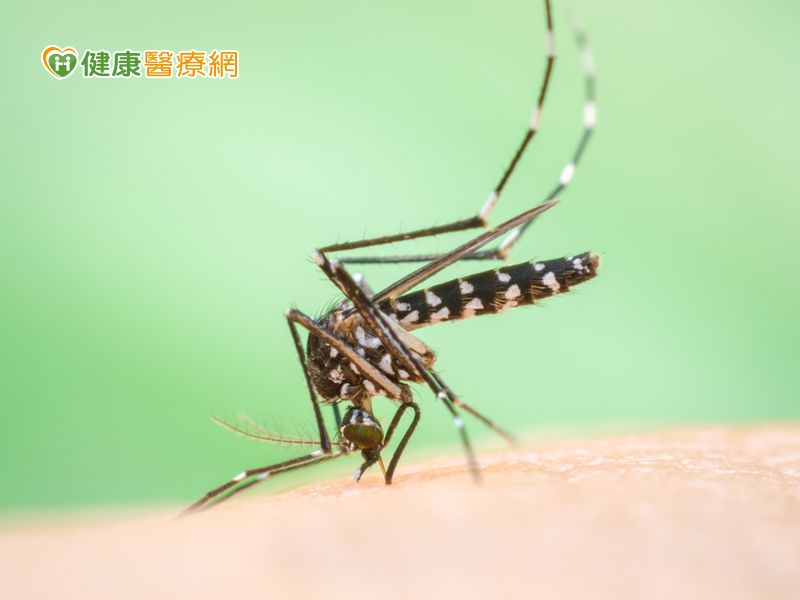 首圖