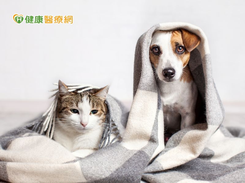 毛小孩腹瀉 嘔吐多日是什麼原因所致 健康醫療網 健康養生新聞資訊網路媒體 毛小孩腹瀉 嘔吐多日是什麼原因所致 健康醫療網 健康養生新聞資訊網路媒體