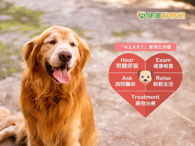啟動 Heart 5步驟 毛小孩 心 病有解 健康醫療網 健康養生新聞資訊網路媒體