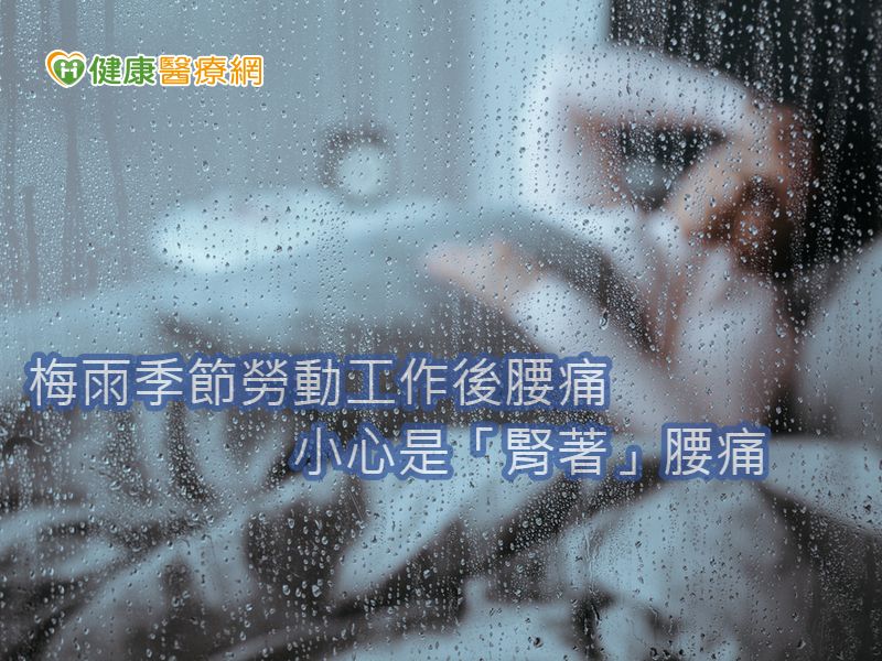 入梅 陰雨連連梅雨季養生食療首重補脾腎 健康醫療網 健康養生新聞資訊網路媒體 入梅 陰雨連連梅雨季養生食療首重補脾腎 健康醫療網 健康養生新聞資訊網路媒體