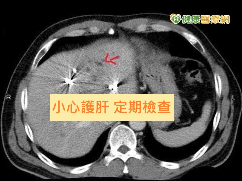  ä»¥çºåªæ¯ãè¹ç ããç«æ¯èçæ¹ç¦