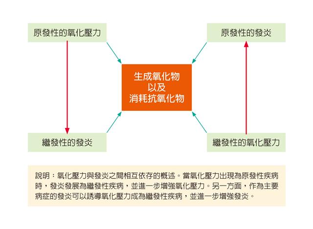 【人本天然．醫療保健黃中洋博士專欄】星火燎原　淺談慢性發炎