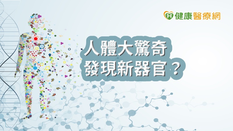人體是個巧妙的機器，有一雙可以跑上好幾十公里的腿，和發明新事物的大腦，知道何時該如何停止喝水，把免疫細胞送至對的戰場等，不過人體仍充滿許多未知的謎題，快來看看《現場科學》選出2019年十大人體新發現。