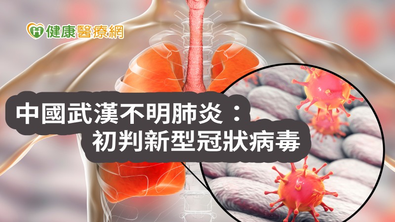 疾管署副署長莊仁祥表示，接獲陸方通知，病原體初步判定為新型冠狀病毒，目前台灣都有針對冠狀病毒的檢疫、檢驗、醫療物資整備。疾管署防疫醫師黃婉婷則表示，武漢不明肺炎應是動物傳人的新型冠狀病毒，人傳人能力應較低，症狀比流感輕微，又不如SARS和MERS嚴重，呼籲勤洗手、戴口罩，不要接觸野生動物。