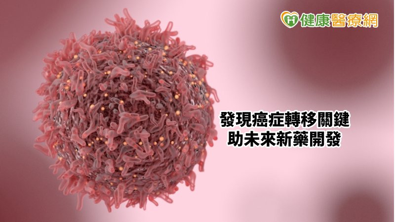 一旦PSPC1出現異常表現，恐會使細胞中的蛋白質產生癌細胞轉移等一系列致癌效果。