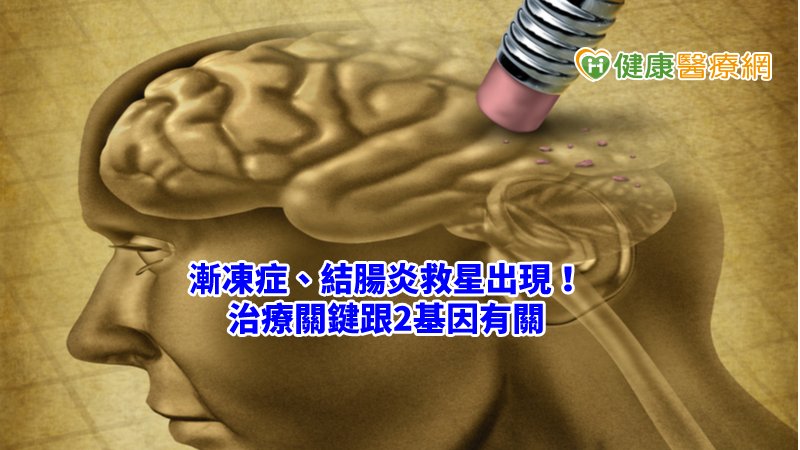 生物體內的抗氧化酵素GPx7和GPx8可以偵測、調控氧化壓力，不僅能平衡細胞多餘的氧化活動，更能協助藥物測試，透過相關機制的抑制劑治療疾病